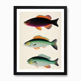 Driftfish Vintage Poster Art Print