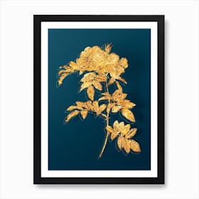 Vintage Shining Rosa Lucida Botanical in Gold on Teal Blue n.0013 Art Print