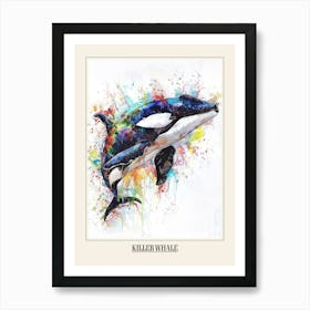 Killer Whale Colourful Watercolour 4 Poster Art Print