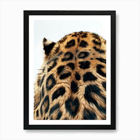 Leopard Head 2 Art Print