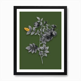 Vintage Turnip Roses Black and White Gold Leaf Floral Art on Olive Green n.0878 Art Print