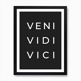 Veni, Vidi, Vici - Dictionary Definition | Art Board Print