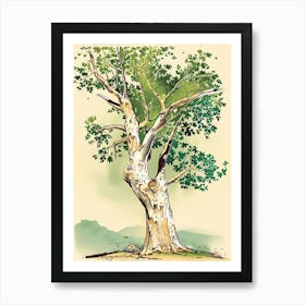 Sycamore Tree Storybook Illustration 2 Art Print