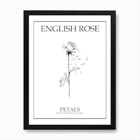 English Rose Petals Line Drawing 1 Poster Art Print