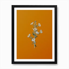 Vintage Glaucous Aster Flower Botanical on Sunset Orange Art Print
