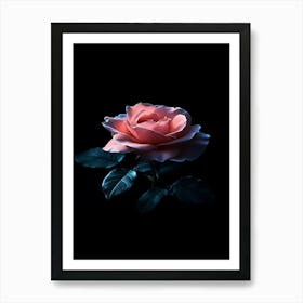 Pink Rose On Black Background 72 Art Print