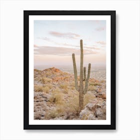 Summer Desert Sunset Art Print