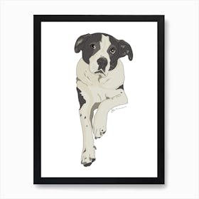 Black & White Dog Lounging Art Print