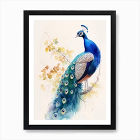 Watercolour Peacock On The Tree Branch 3 Art Print