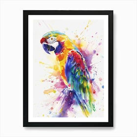 Parrot Colourful Watercolour 3 Art Print