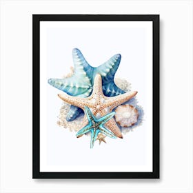 Starfish And Shells Art Print