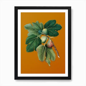 Vintage Common Fig Botanical on Sunset Orange n.0591 Art Print