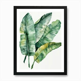 Banana Leaves 33 Art Print