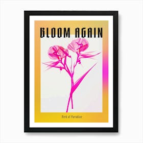 Hot Pink Bird Of Paradise 1 Poster Art Print