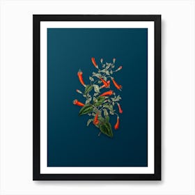 Vintage Heart Leaved Manettia Botanical Art on Teal Blue n.0087 Art Print