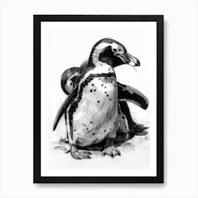 African Penguin Grooming Their Feathers 4 Art Print