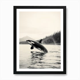 Black & White Photography Style Orca Whale Spraying Water Art Print