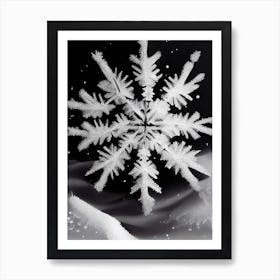Crystal, Snowflakes, Black & White 4 Art Print
