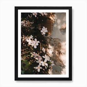 Ivy against the old wall pink flowers countryside garden | Bourgogne | France Art Print