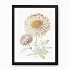 Chrysanthemum Floral Quentin Blake Inspired Illustration 1 Flower Art Print