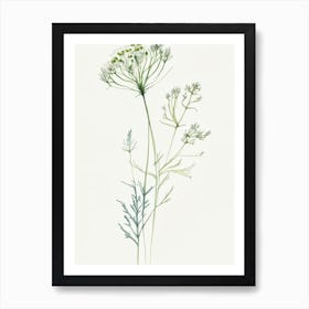 Angelica Herb Minimalist Watercolour Art Print