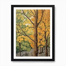 Eastern Cottonwood 2 Vintage Autumn Tree Print  Art Print