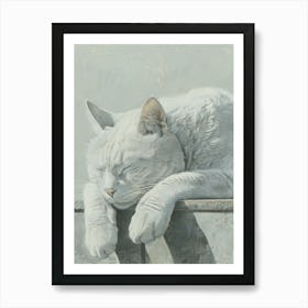 White Cat Sleeping Art Print