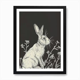 American Fuzzy Lop Rabbit Minimalist Illustration 1 Art Print