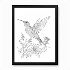 Allen S Hummingbird William Morris Line Drawing 2 Art Print