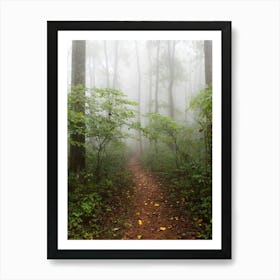 Misty Woods - Smoky Mountain National Park Art Print