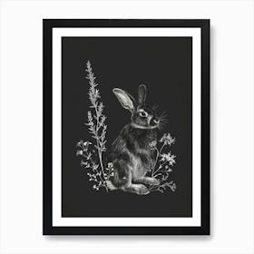 Mini Sable Rabbit Minimal Illustration 4 Art Print