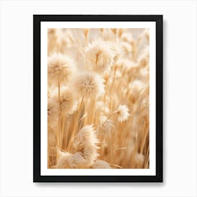 Boho Dried Flowers Everlasting Flower 1 Art Print