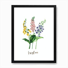 Foxglove Trio Art Print