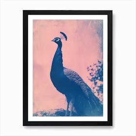 Peacock In The Wild Cyanotype Inspired 4 Art Print