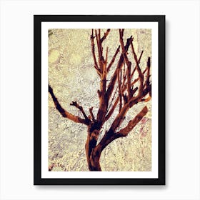 Bare Tree Art Print