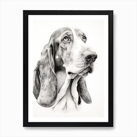 Basset Hound Dog, Line Drawing 4 Art Print