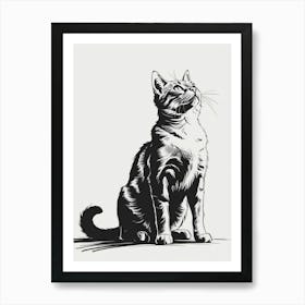 Cat Looking Up 3 Art Print