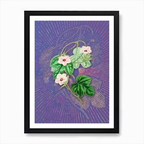 Vintage Aiton's Ipomoea Flower Botanical Illustration on Veri Peri n.0479 Art Print