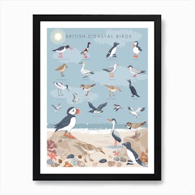 British Coastal Birds Art Print