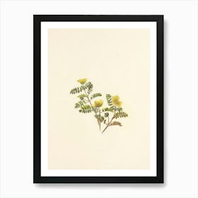 Yellow Flowers 1 Art Print