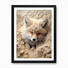 Tibetan Sand Fox Burrowing Photorealism 1 Art Print