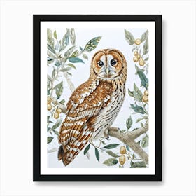 Tawny Owl Marker Drawing 4 Art Print