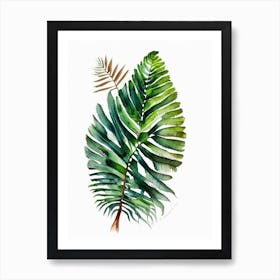 Australian Tree Fern Watercolour Art Print