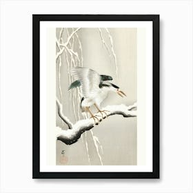 Emerge On Snowy Branch (1900 1930), Ohara Koson Art Print