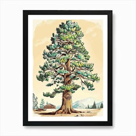 Sequoia Tree Storybook Illustration 2 Art Print