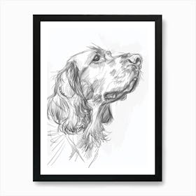 Irish Setter Dog Charcoal Line 3 Art Print