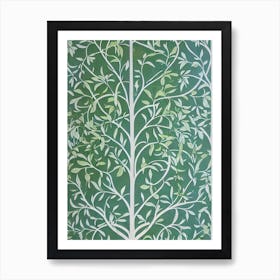 Cyprus tree Vintage 2 Botanical Art Print