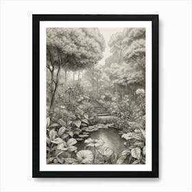 Lily Pond Art Print