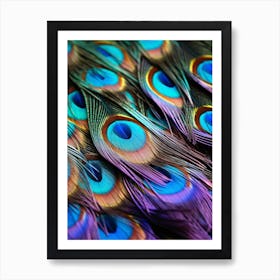 Peacock Feathers 6 Art Print