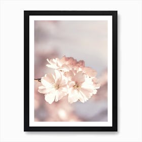 Cherry Blossom Art Print